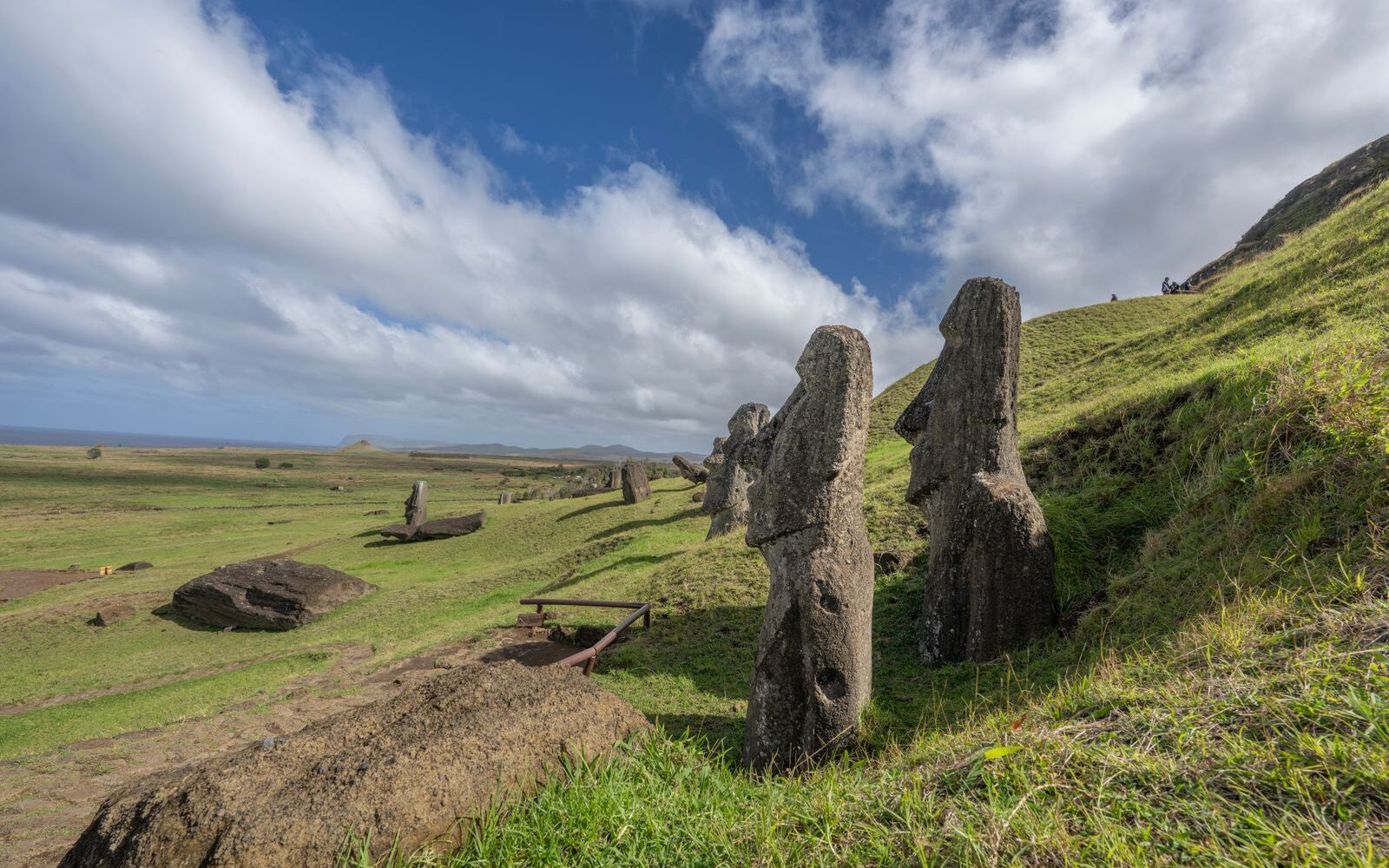 Les moaï de Rapa Nui : histoire, mystères et préservation