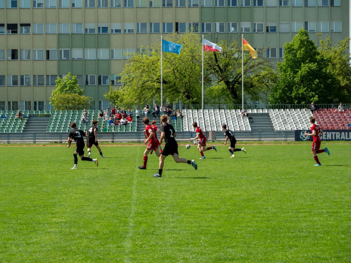 irm rugby amateur données récentes confirment